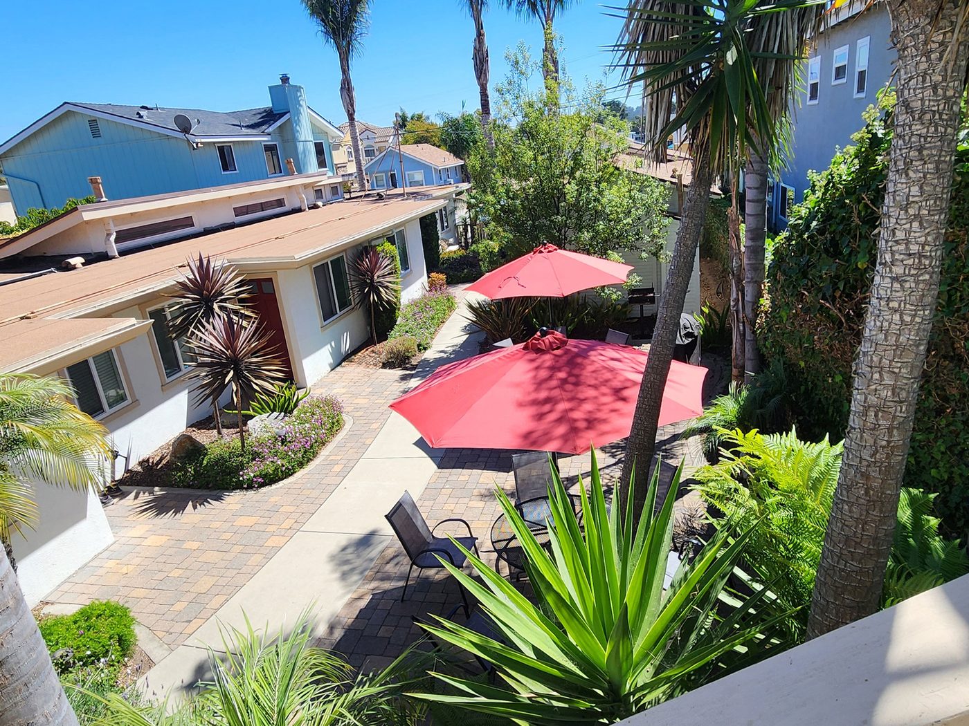 Looking across the courtyard toward the single-story fourplex, past umbrellas and palms