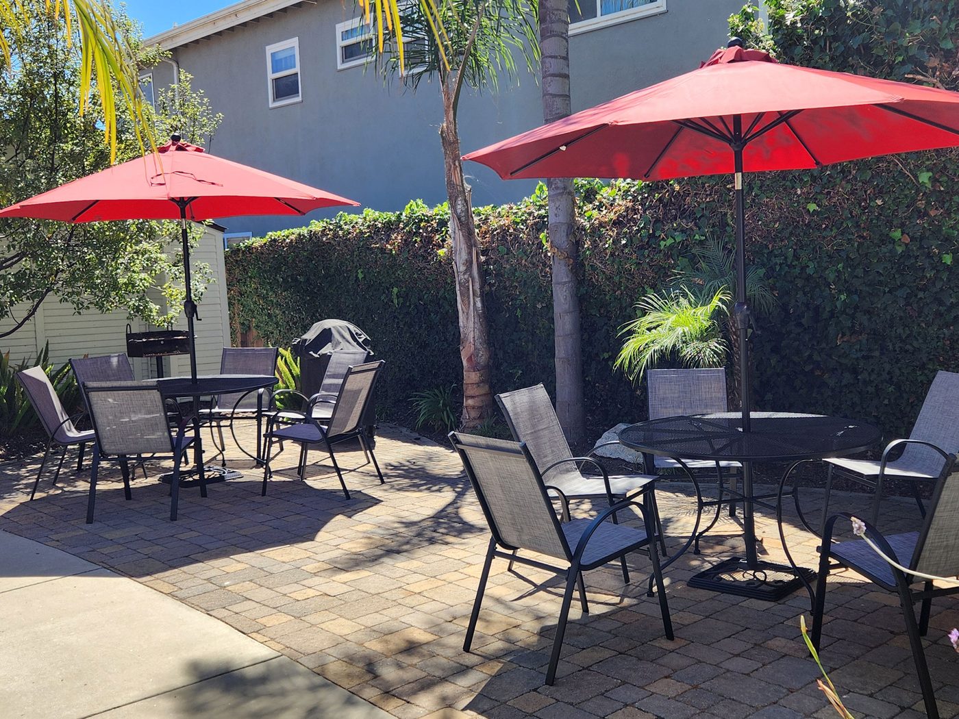 The courtyard patio: pavers, tables and chairs under two red umbrellas, hedged in by palms